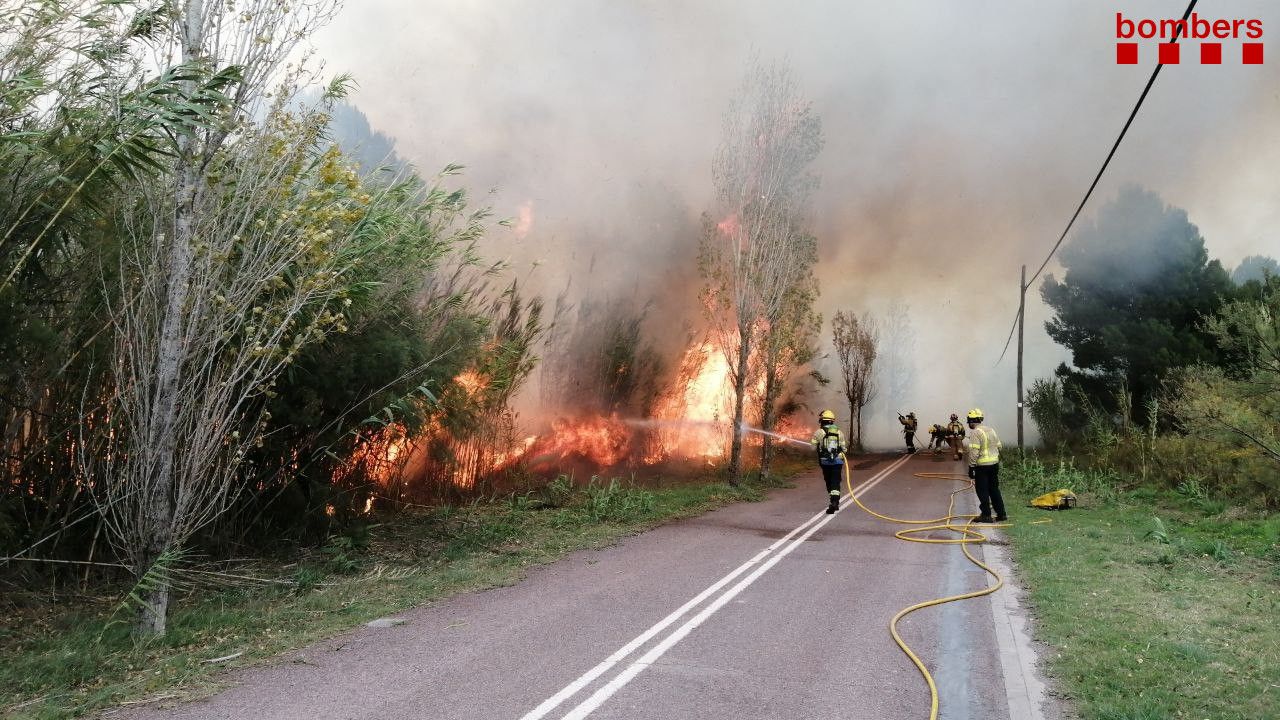 Los bomberos trabajan en la extinción del incendio declarado este domingo en Estartit.