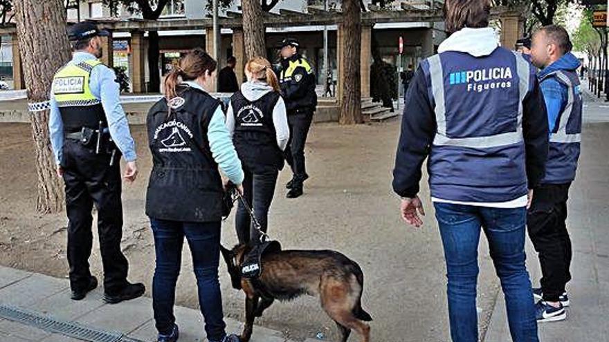 La Guàrdia Urbana de Figueres incorpora els primers gossos policia