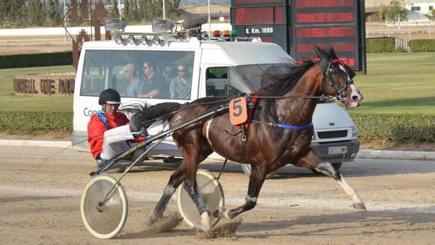 El crack francés Spirit Beji, con Guillem Riera ´Prim´, en su victoria en la estelar.