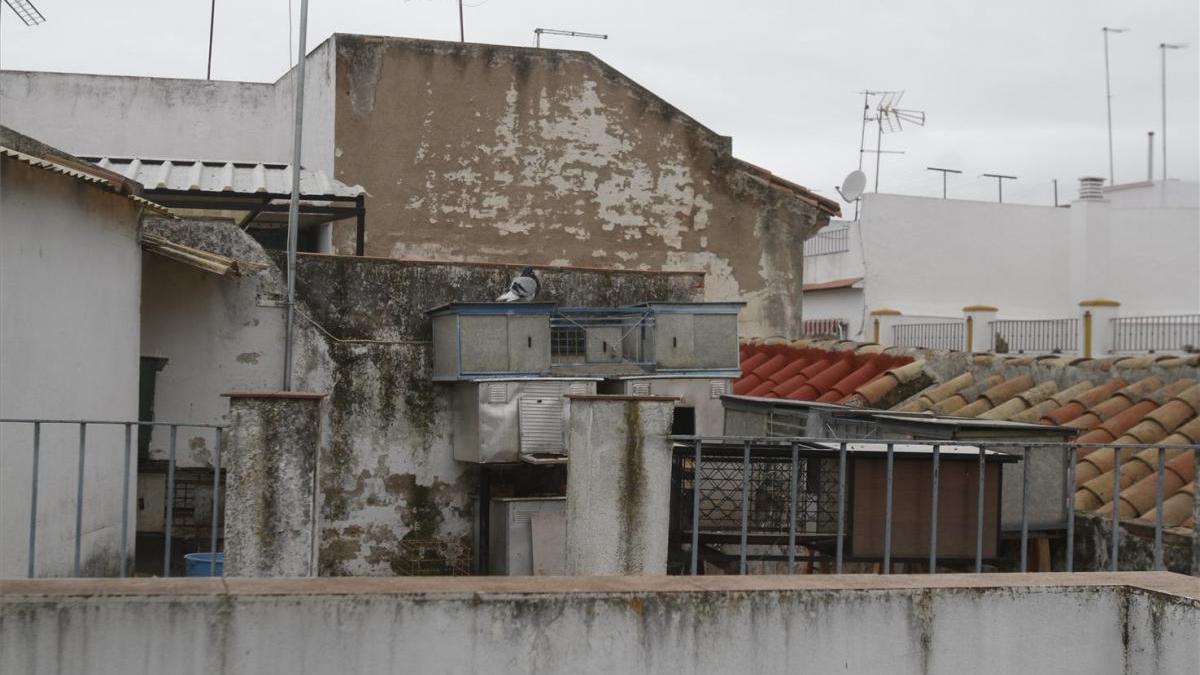 San Lorenzo Existe pide a la Junta que actúe contra el uso de una casa como gran palomar