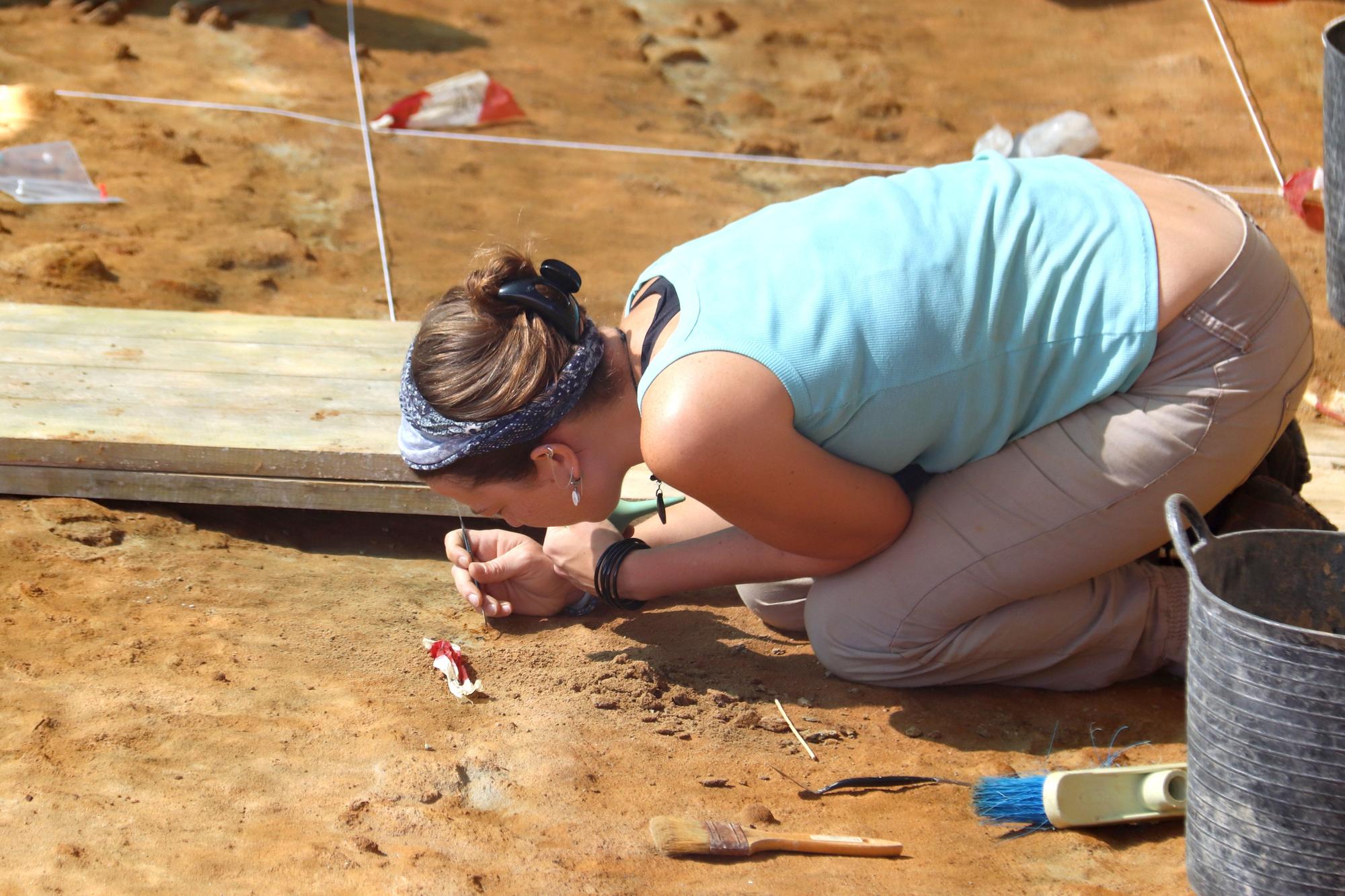 Troben un animal aquàtic sense identificar de més de 3 milions d'anys en una excavació a Girona