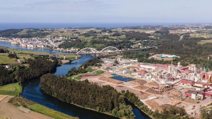 Ence sufre pérdidas de 28 millones por los bajos precios de la celulosa