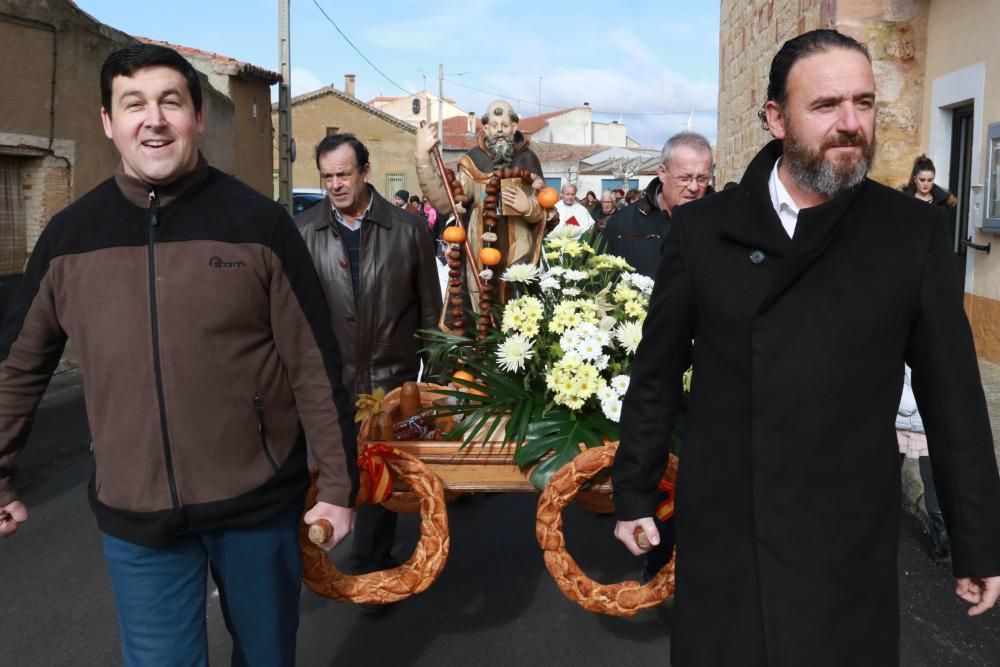 Celebración del día de san Antón en Monfarracinos.