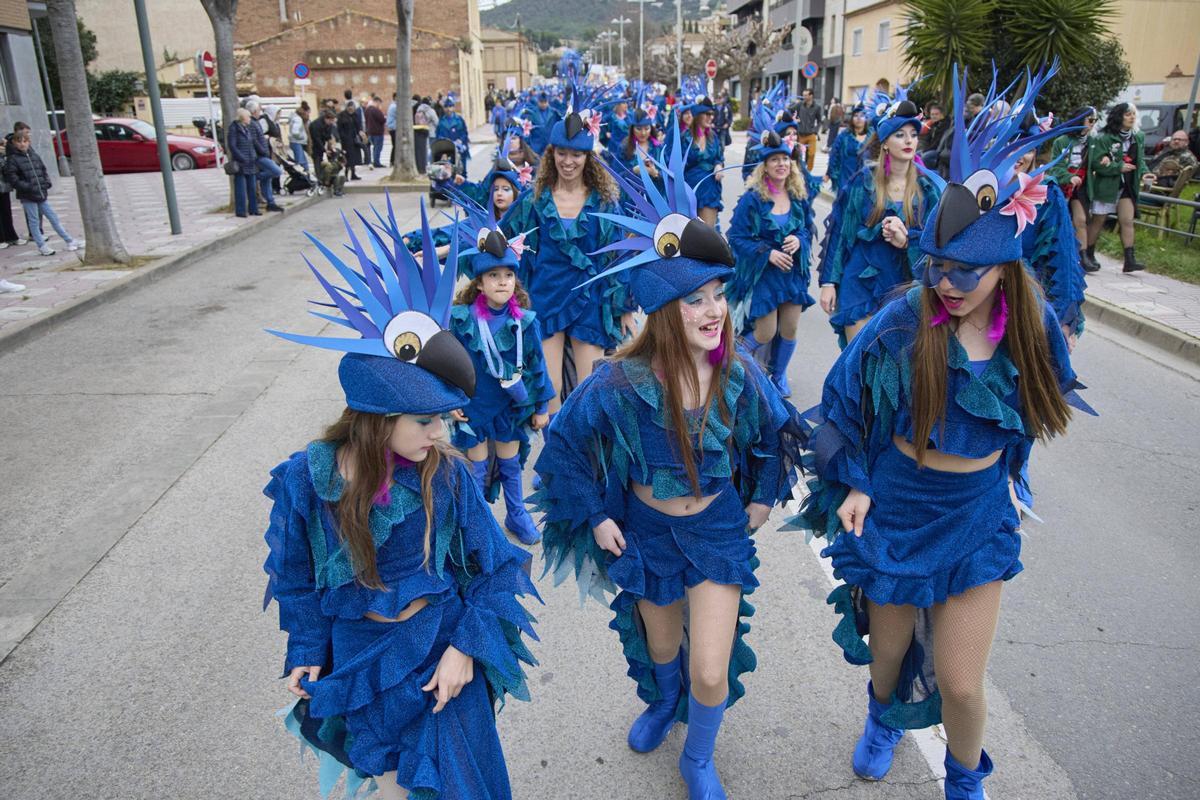 La rua del Carnaval de Santa Cristina d'Aro en imatges La rua del Carnaval de Santa Cristina d'Aro en imatges