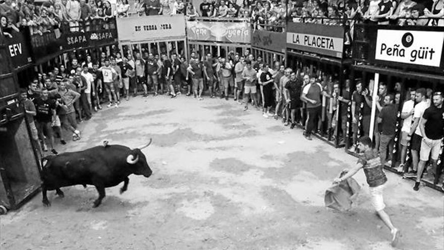 Un Conde de Mayalde, ‘Millor bou de les festes’ de l’Alcora