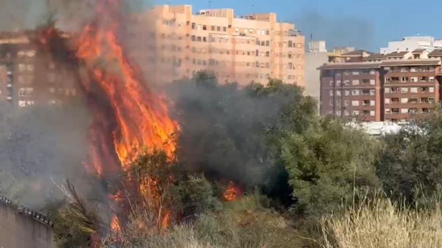 Vídeo: Incendio junto al cauce del Riu Sec en Castelló