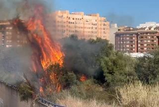 Vídeo: Incendio junto al cauce del Riu Sec en Castelló