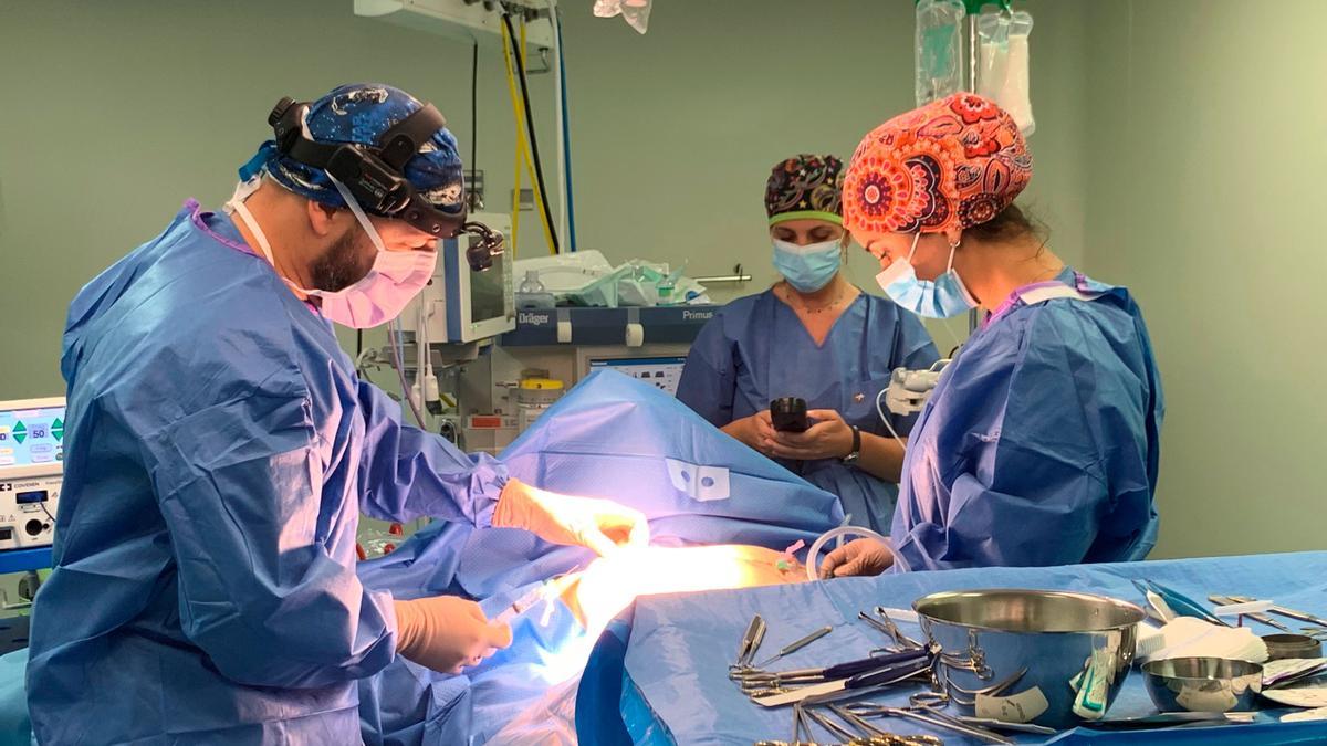 La Unidad coordina sus acciones con los equipos de Cirugía General, Ginecología y Radiodiagnóstico.