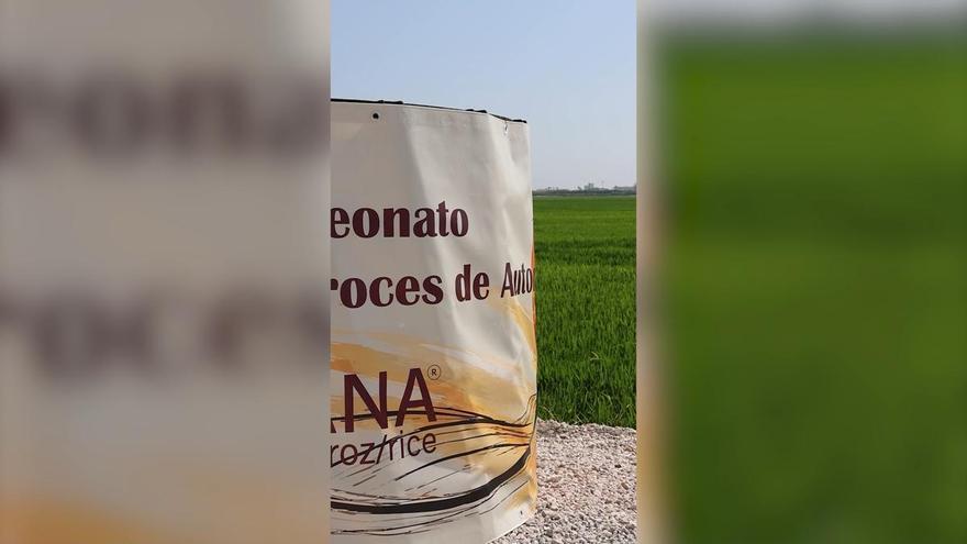 Los 26 mejores 'foodies', 26 arroces creativos y la esencia de la tradición
