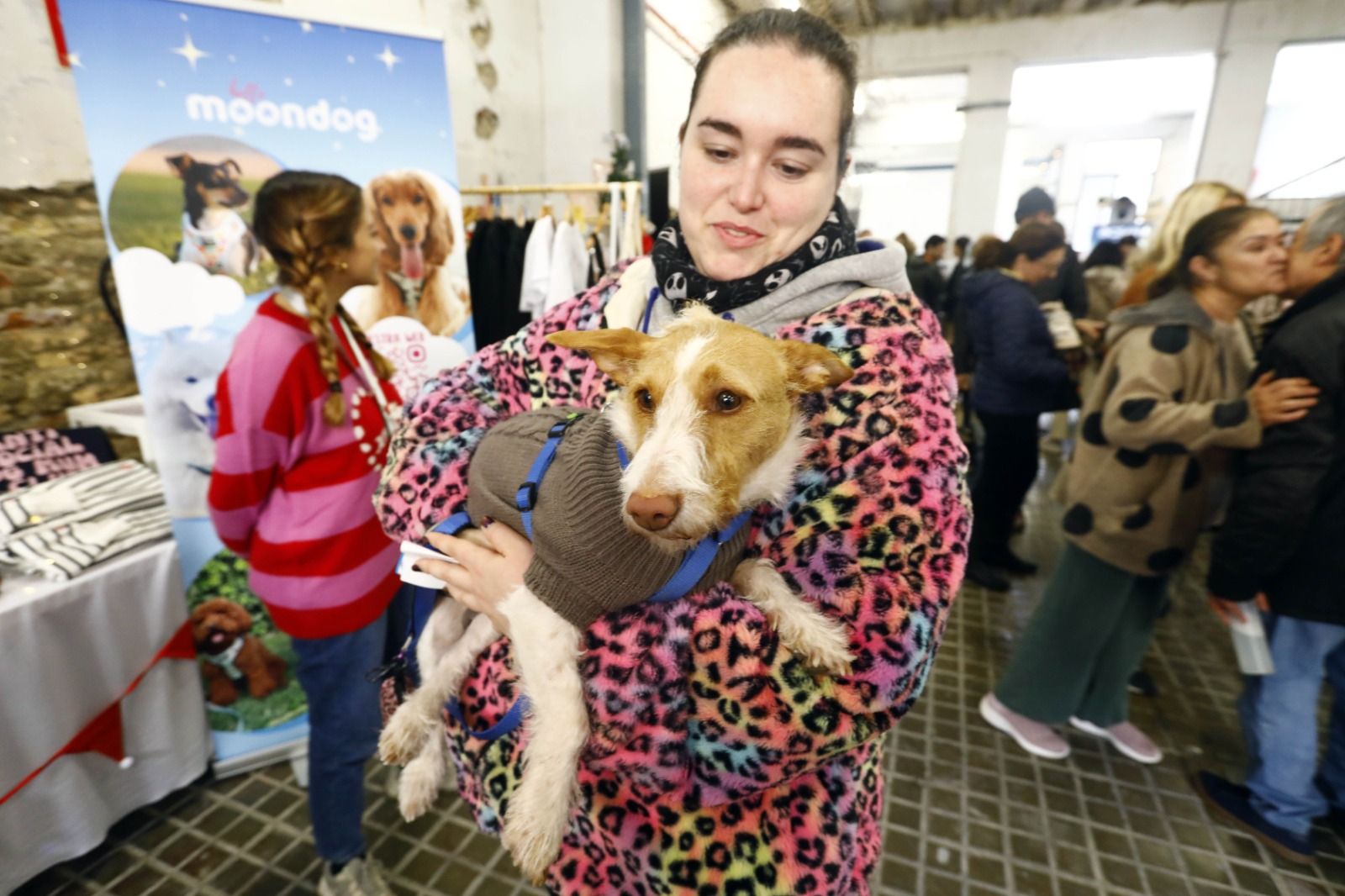 El mercado de mascotas de Zaragoza, en imágenes