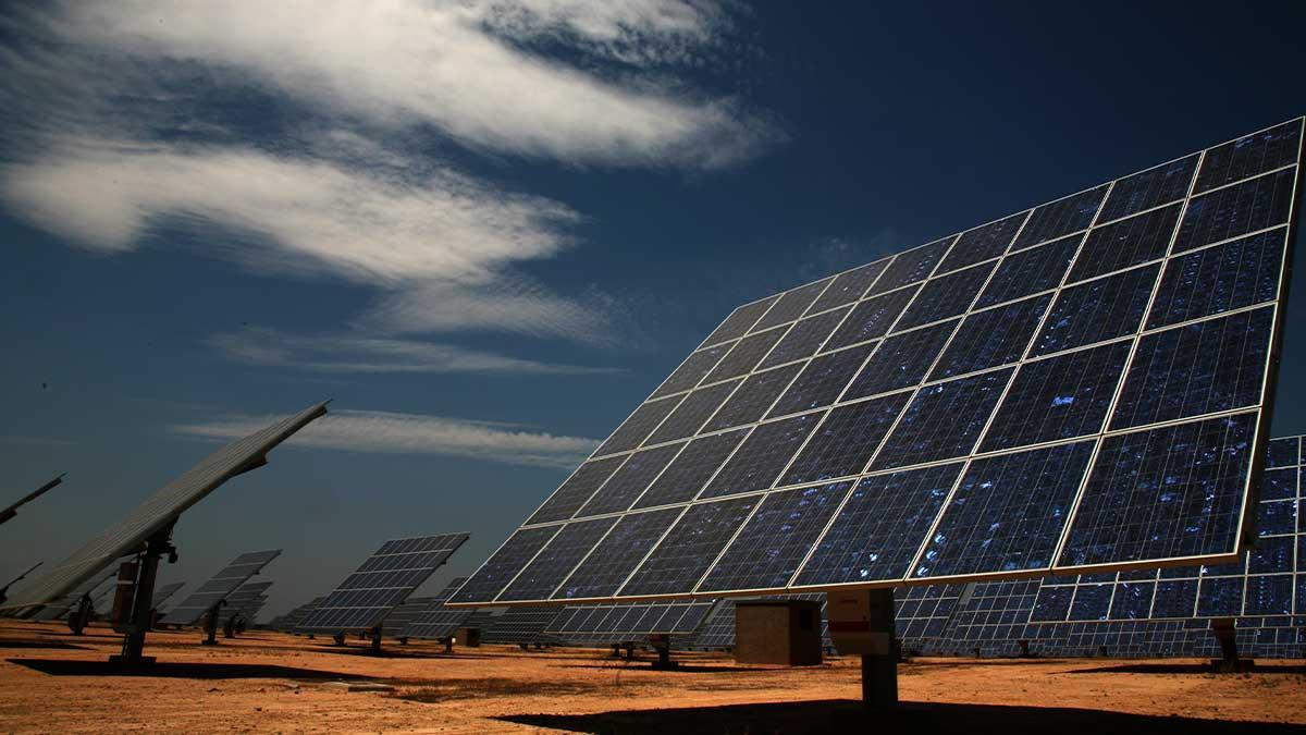 Un huerto de placas solares.