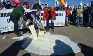 Ganaderos zamoranos hacen frente al cártel de la leche: “Las industrias nos arruinaron”