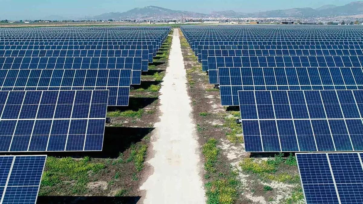Placas solares entre cultivos, en imagen de archivo.