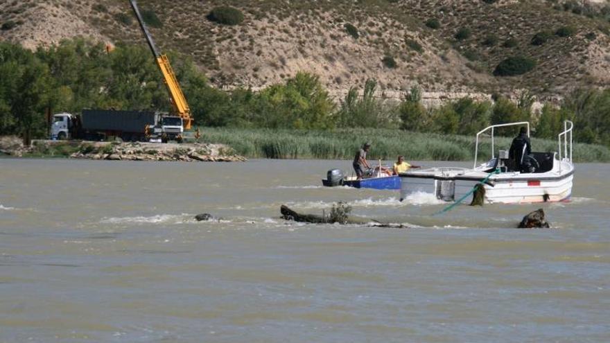 Limpieza de troncos del cauce del segre