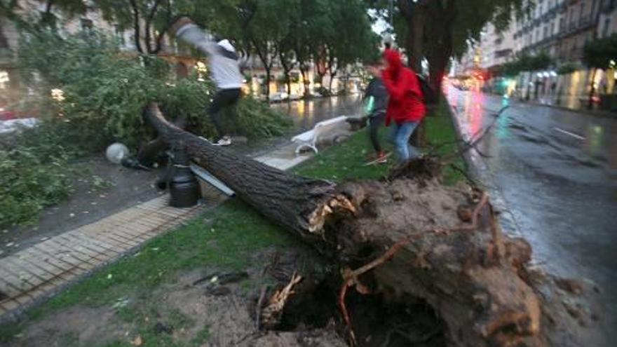 Tarragona Un temporal causa un ferit