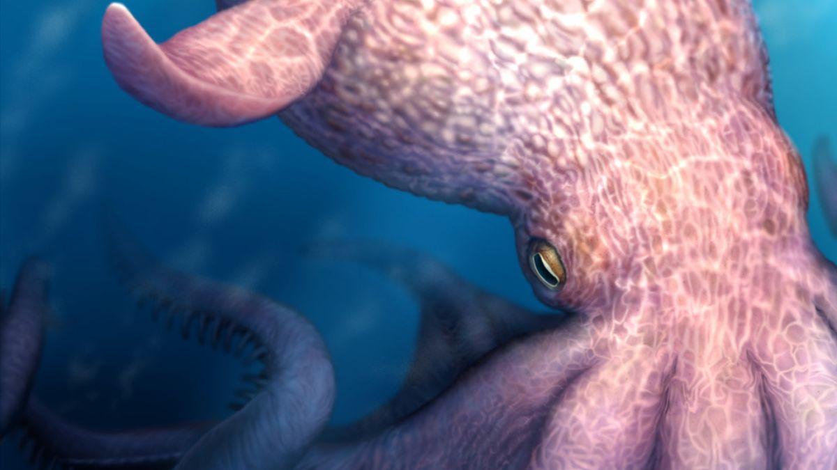 Un boceto de un pulpo prehistórico: los océanos del Cretácico también tuvieron sus gigantes, con pulpos de hasta 20 metros.