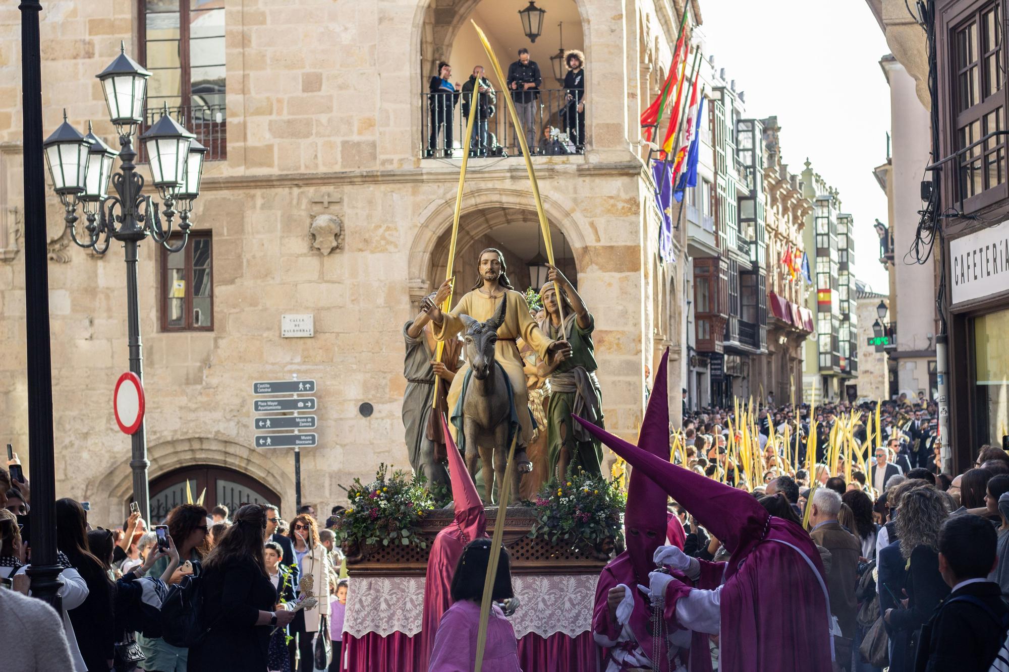 ZAMORA.DOMINGO DE RAMOS