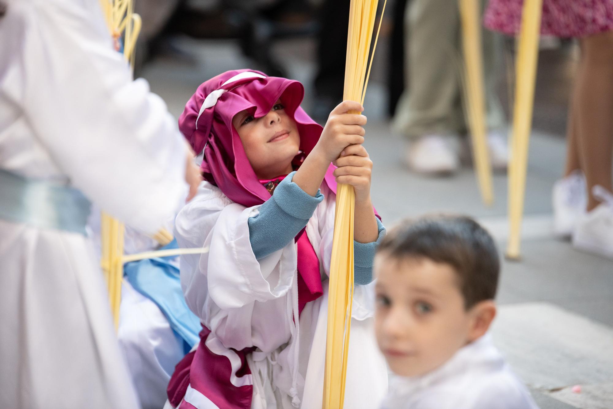 ZAMORA. DOMINGO DE RAMOS