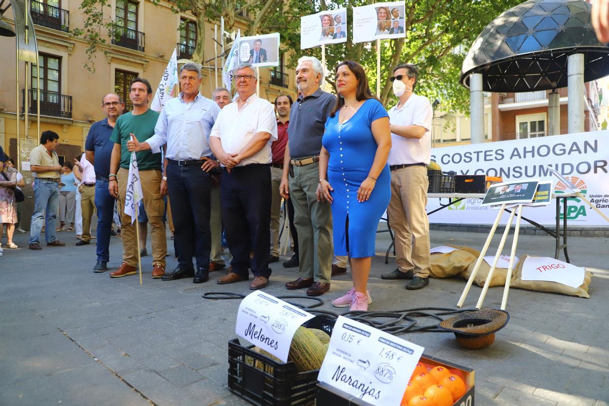 Rafael Sánchez de Puerta (Cooperativas Agroalimentarias), Miguel Cobos (UPA), Ignacio Fernández de Mesa (Asaja) y Carmen Quintero (COAG), en una protesta realizada el pasado julio.