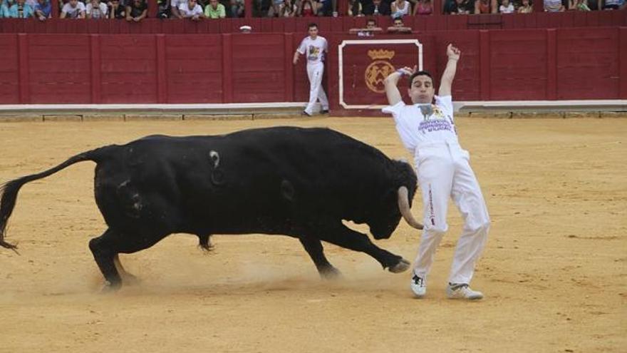 El quiebro fallero         de «Garci»