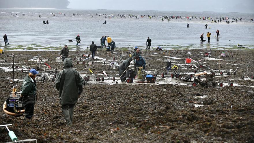 Las mariscadoras esperan que el sector se recupere para el puente de la Constitución