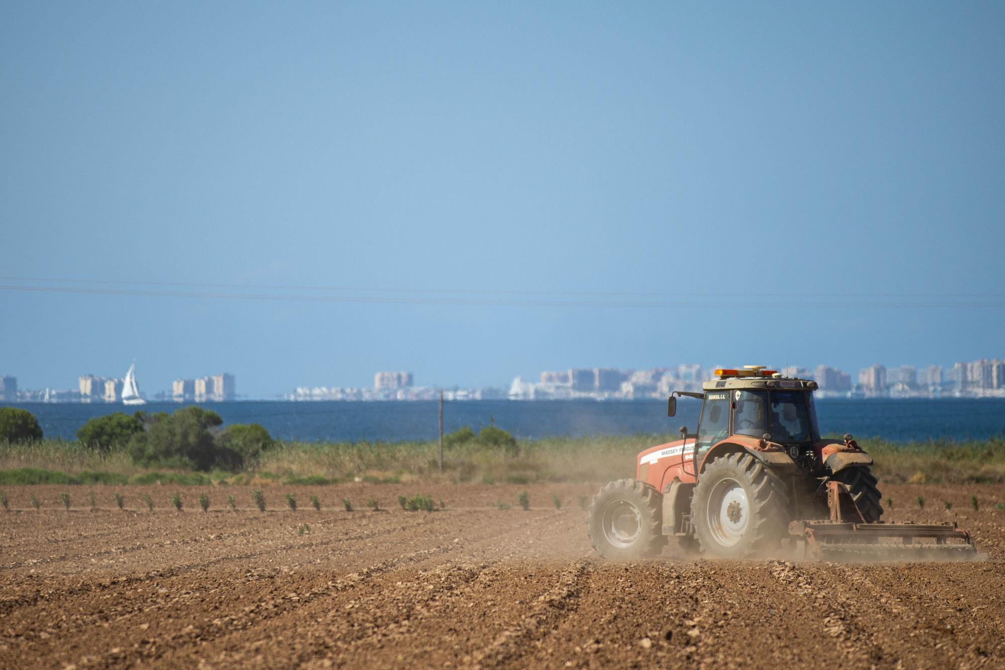 Un tractor labrando una finca frente al Mar Menor.