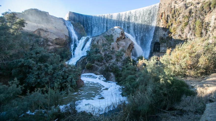 Visita al Pantano de Elche