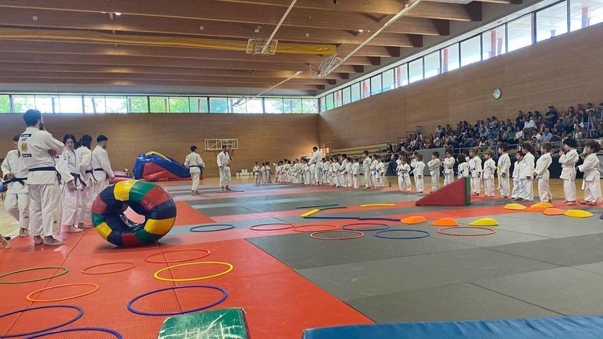 El Festival de Final de Curs de Judo aplega més de tres-cents infants al Congost
