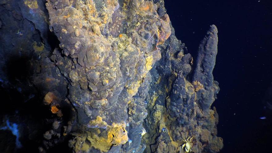 Cangrejos de mar profundo en una estructura de ventilación de la nueva fuente termal, teñida de amarillo por el hierro.