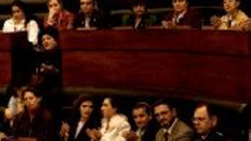 La Asamblea exige al Gobierno fondos para acabar con la violencia de género