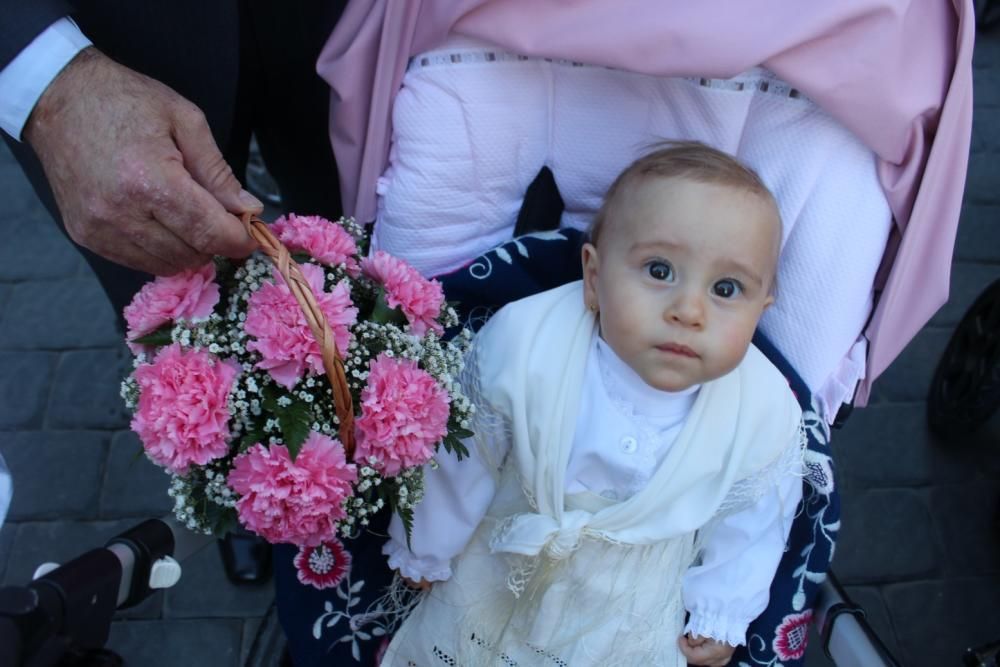 Ofrenda de flores en Jumilla