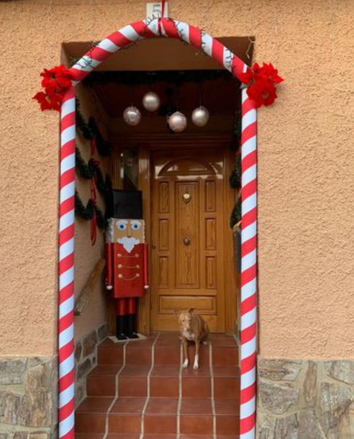 Decoración navideña.  | SERVICIO ESPECIAL