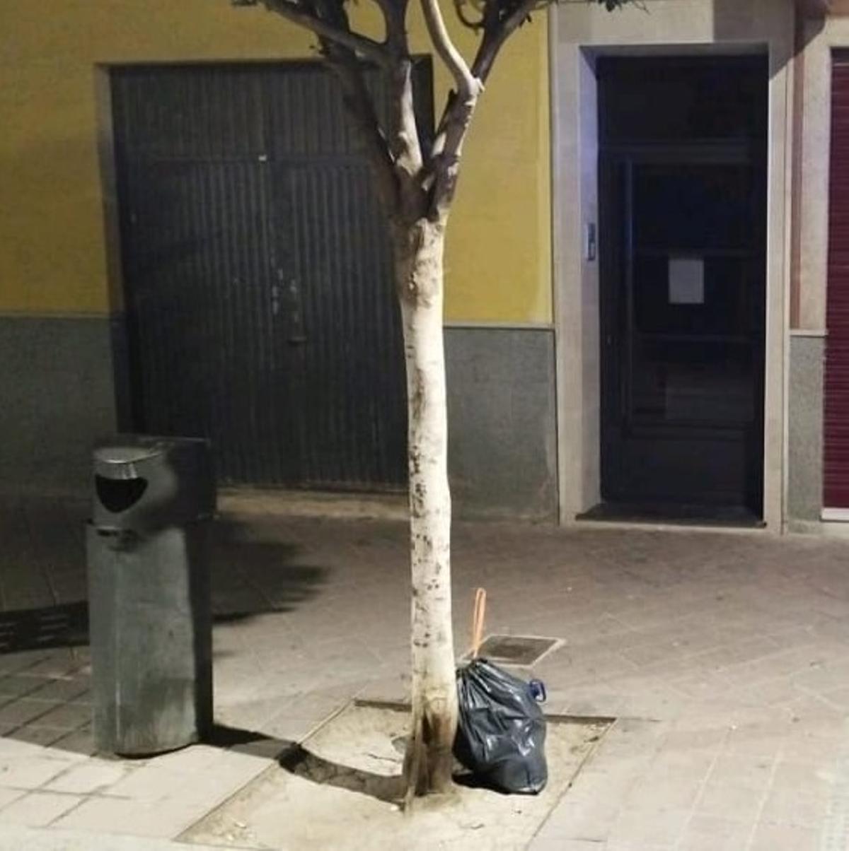 Basura en la calle en Aspe.