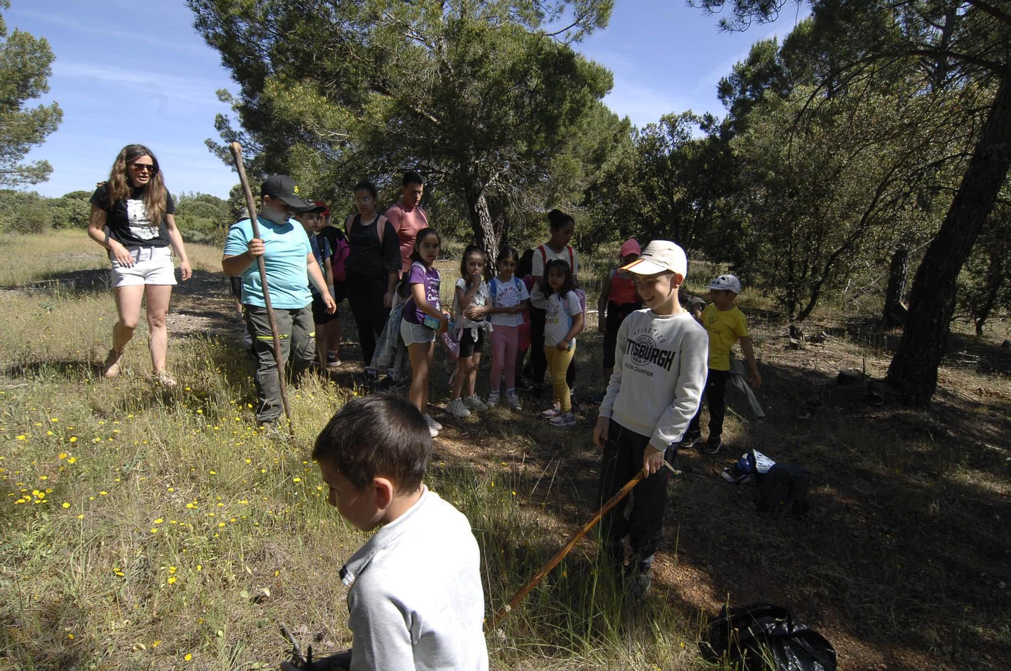 GALERÍA | "Érase una vez una senda verde" en Quiruelas de Vidriales