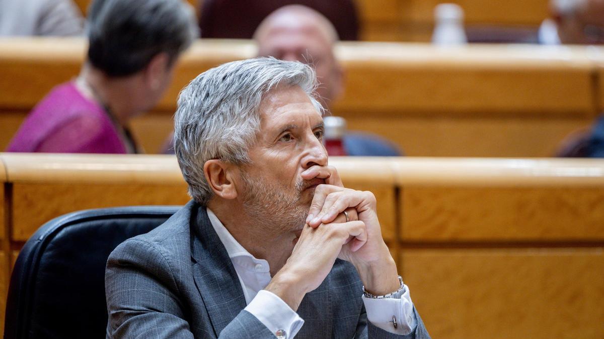 Marlaska admite que la agresión de un policía a una profesora en Valencia «no atendía a la proporcionalidad»