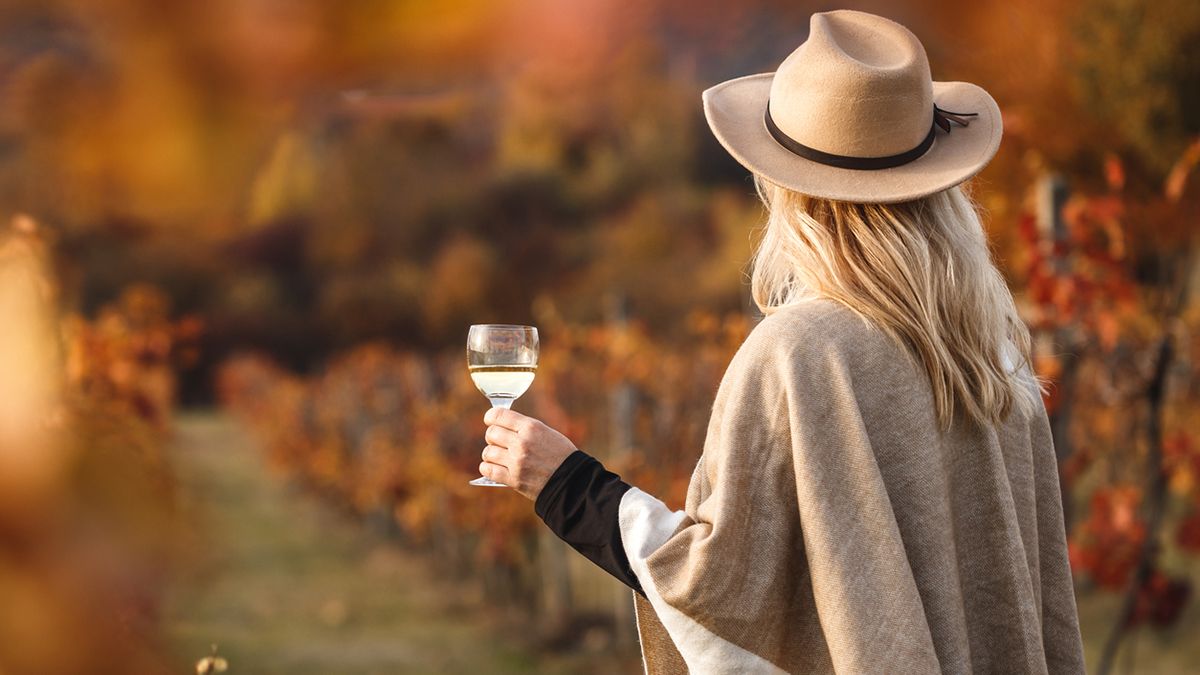 Castilla y León propone un viaje por sus nueve rutas del vino, uniendo paisaje, cultura y tradición