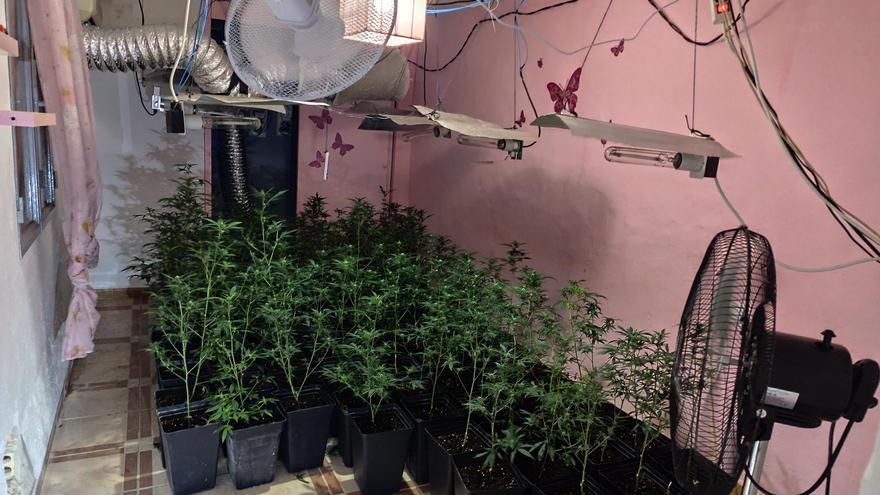 La Guardia Civil detiene a dos personas en Puente Genil y desmantela una plantación de marihuana