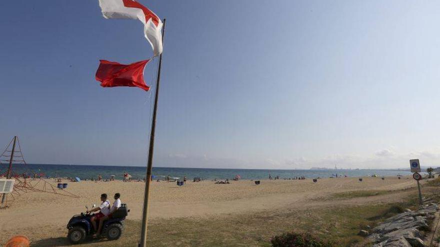 Reabren las playas del Maresme al comprobar que ya no hay tiburones