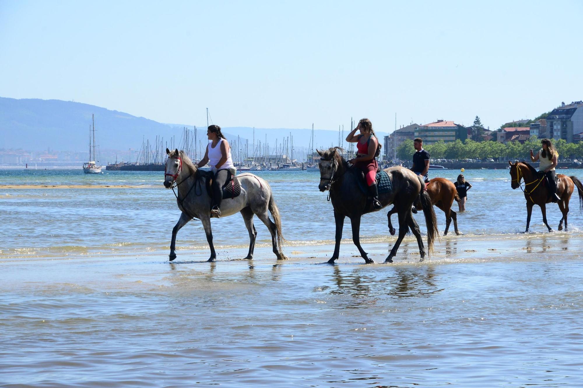 Una espectacular jornada a caballo por Moaña (I)