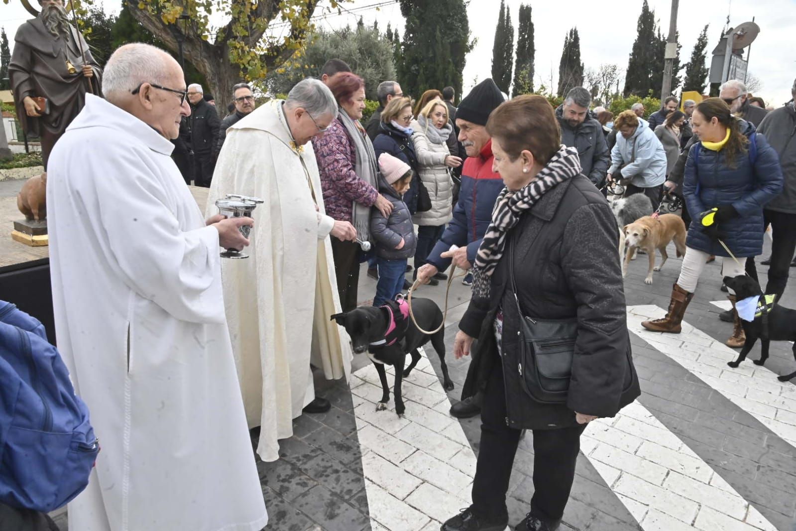 Galería de fotos: Castelló se vuelca con la procesión de Sant Antoni a la Mare de Déu del Lledó