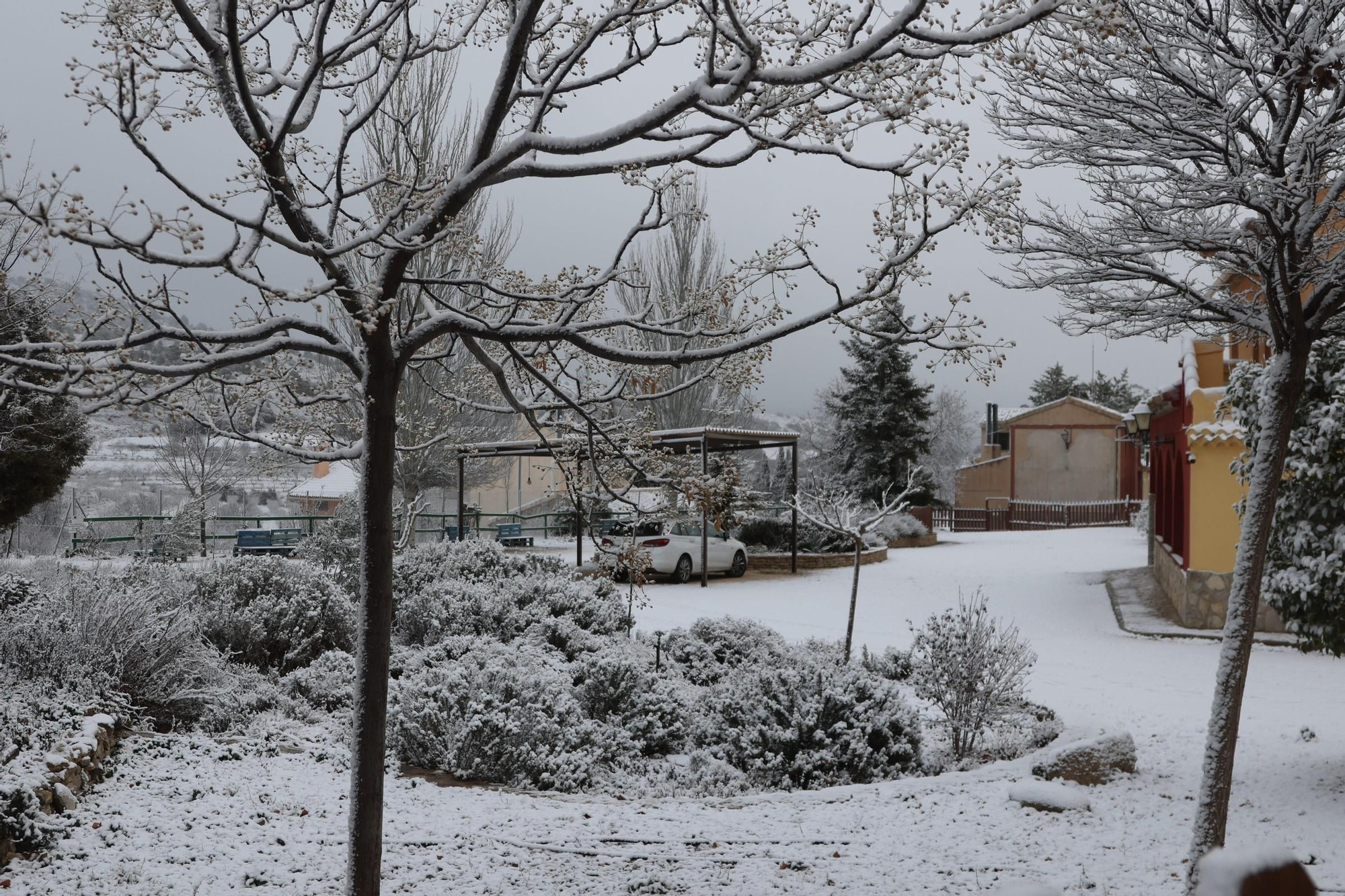 La espectacular nevada que ha teñido de blanco todo Inazares, en imágenes