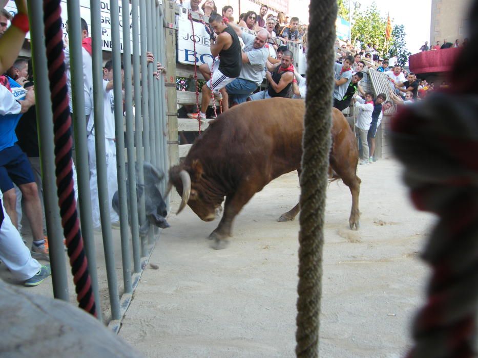 Corre de bou de Cardona (dilluns 12 de setembre)