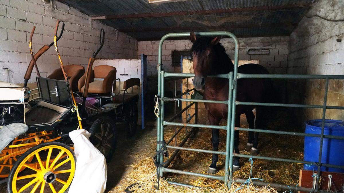 Coche de caballos en una finca