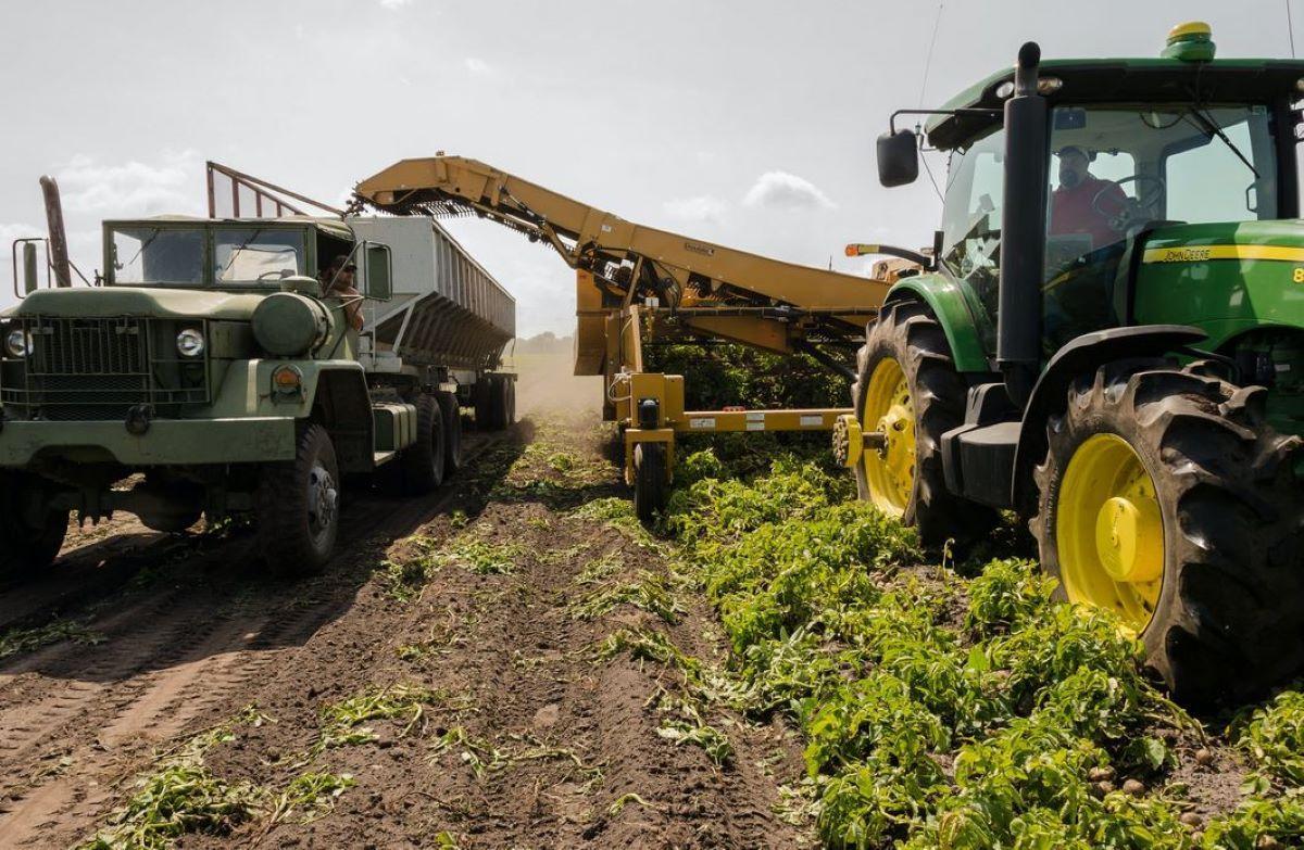 La Cátedra Sipcam ahonda en el desarrollo digital y análisis de datos del sector agrícola