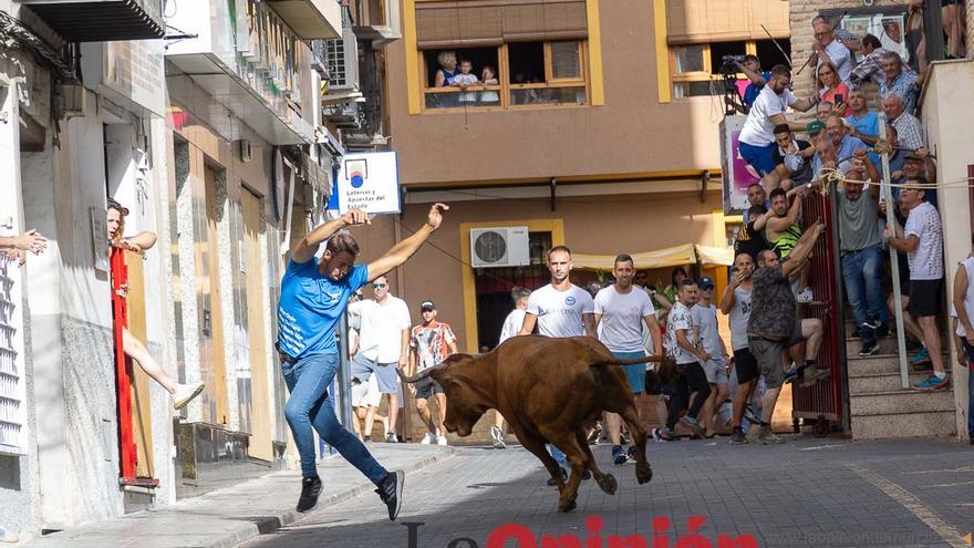 Séptimo encierro de las Fiestas de Moratalla