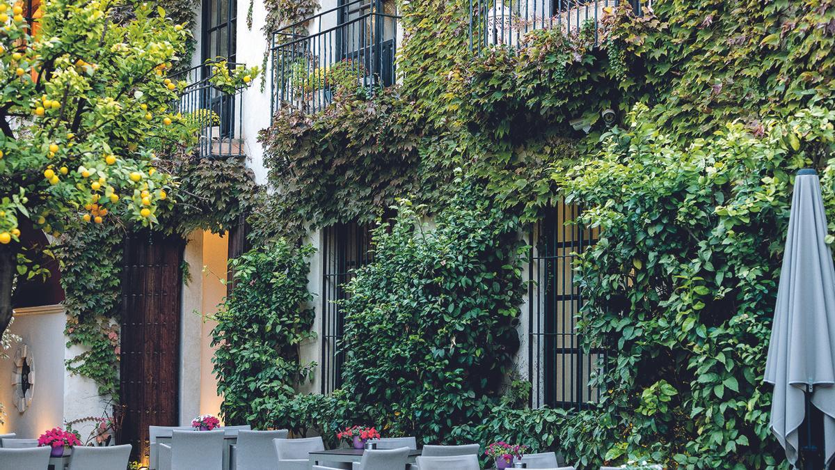 Hoteles con patio en Córdoba: dormir entre flores