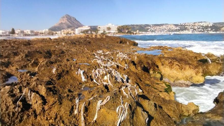 Las toallitas húmedas acaban incomprensiblemente en el mar. | A. P. F.