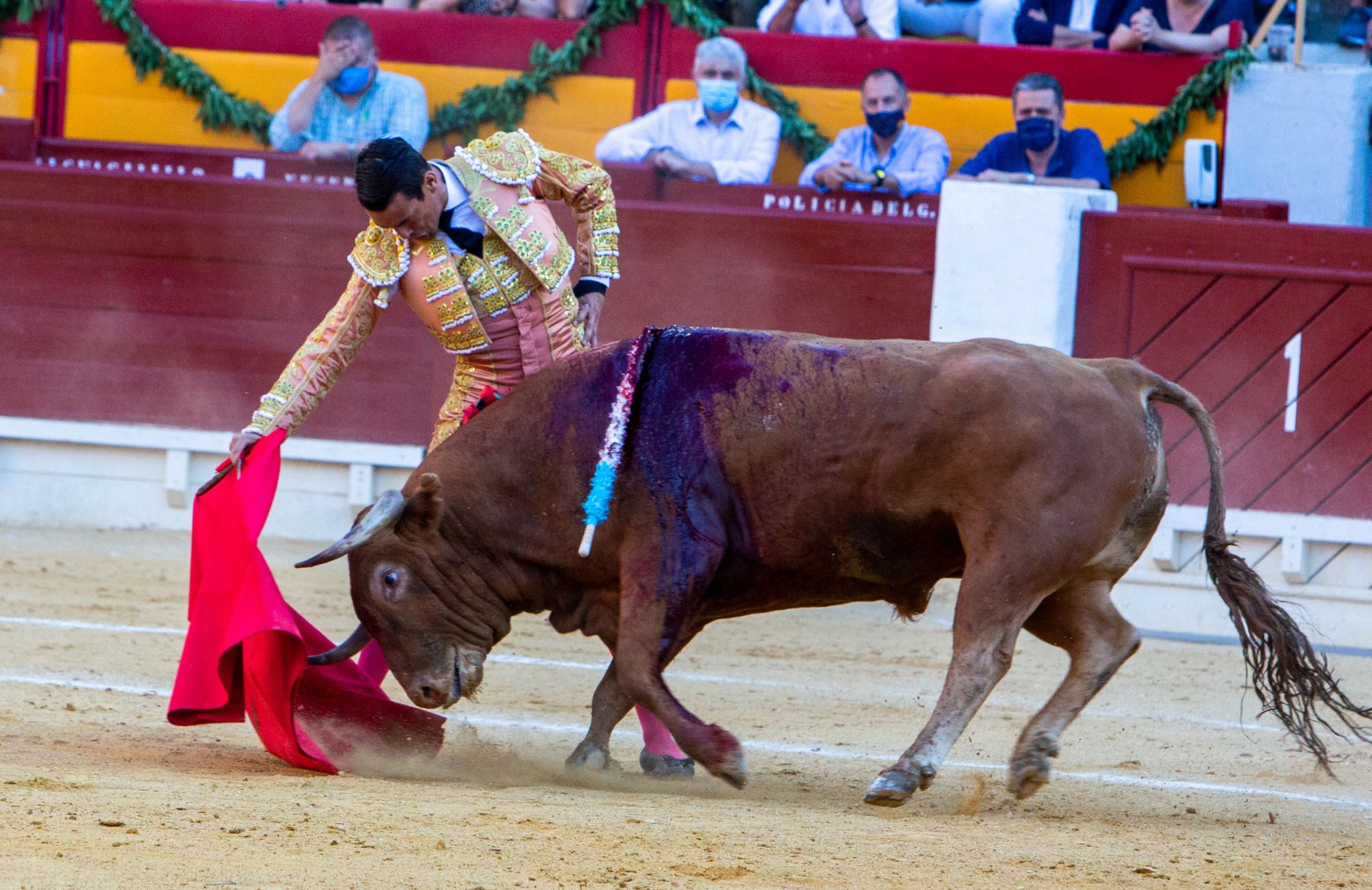 El Juli y Manzanares salen a hombros en la primera tarde de homenaje al maestro de Alicante