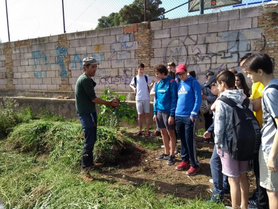 Caminando por la huerta