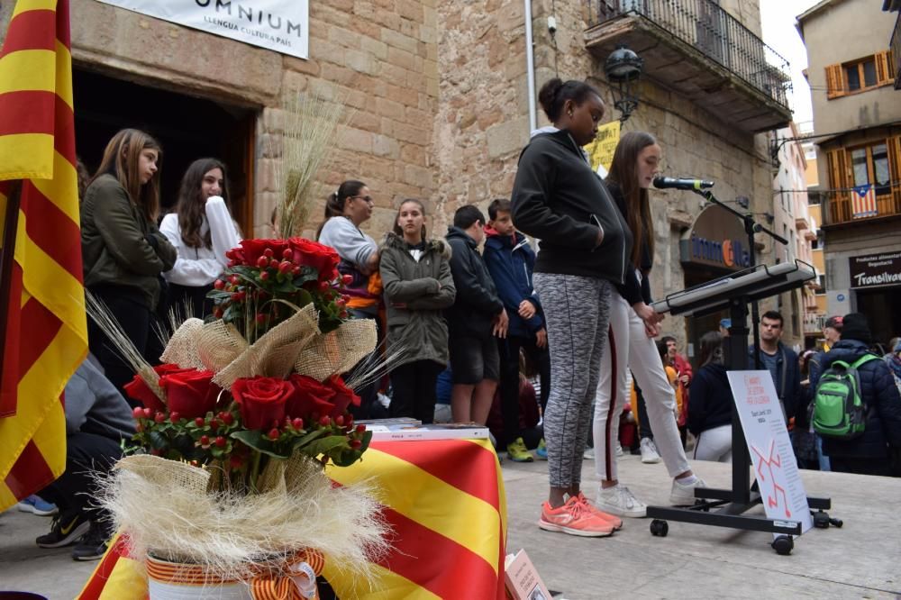 Diada de Sant Jordi a Berga